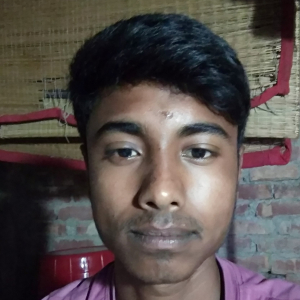 Faruk Islam-Freelancer in ,India