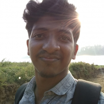 Salahudheen Ayoobi-Freelancer in Cochin,India