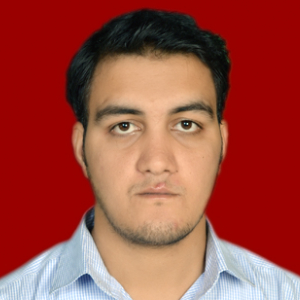 Hamiuddin Khan-Freelancer in nagpur,India