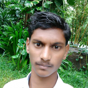 Naveed Mayar-Freelancer in Mudhol,India