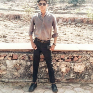 Harsh Bansiwal-Freelancer in Raipur,India