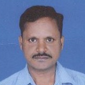 Swaminathan Chandrakasan-Freelancer in Kumbakonam,India