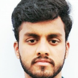 Raja Varman-Freelancer in ,India