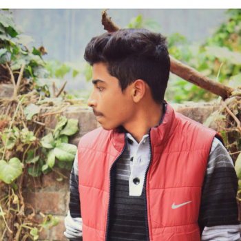 ANSHUL SINGH-Freelancer in Gorakhpur,India