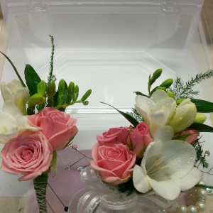 Gajanand Cahanoo-Freelancer in Port Louis,Mauritius