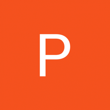 Prince Kumar-Freelancer in Munger,India