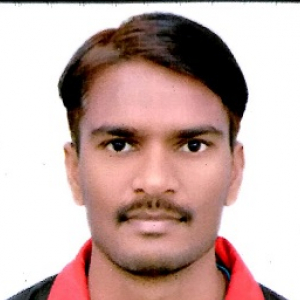 Ankit Dangi-Freelancer in Noida,India