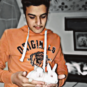 Avtar Thakur-Freelancer in ,India