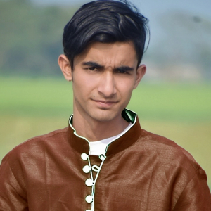 Md Nafe pathan-Freelancer in ,India