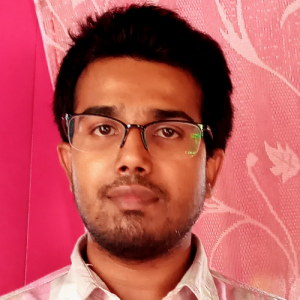 Rajib Bhowmik-Freelancer in Agartala,India