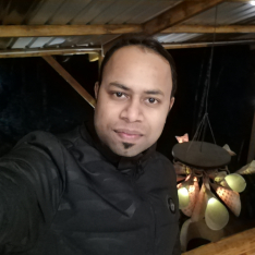 Sanjoy Dhar-Freelancer in Siliguri,India