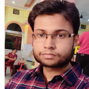 Ritwik Chakraborty-Freelancer in kolkata,India