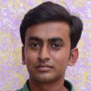 Bipin Patel-Freelancer in ,India