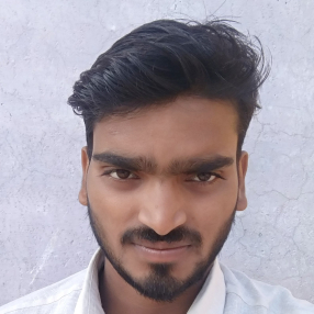 Randheer Singh-Freelancer in Meerut,India