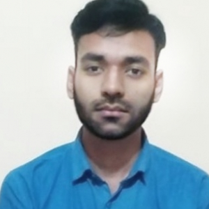 Nitish Kumar Pandey-Freelancer in Begusarai,India