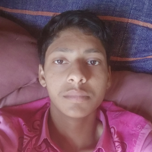 Shahjad Ansari-Freelancer in ,India