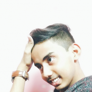 Md ameenulla-Freelancer in Bengaluru,India