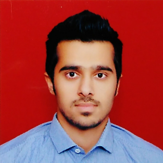 Pravin Dhundale-Freelancer in ,India