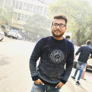 Rohit Bansal-Freelancer in Faridabad,India