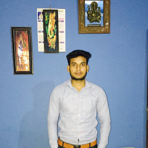 Punit Kumar-Freelancer in New Delhi,India
