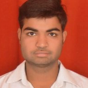 Shubham Chawla-Freelancer in ,India