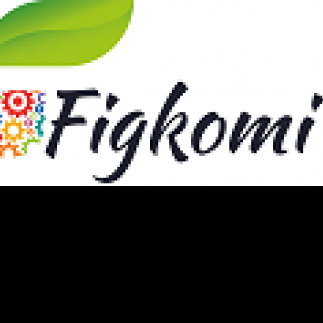 Figkomi Digital Marketing & IT Solutions-Freelancer in New Delhi,India