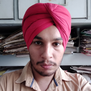 Satnam Singh-Freelancer in Ludhiana,India