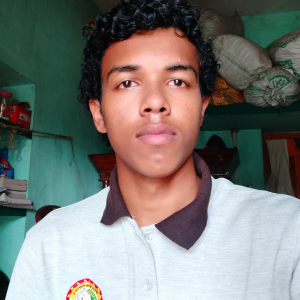 Ajay Kar-Freelancer in ,India