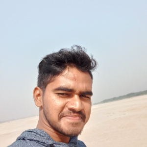 Dheeraj Maurya-Freelancer in Gopiganj,India