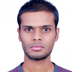 Bharat Bhushan-Freelancer in Muzaffarpur,India