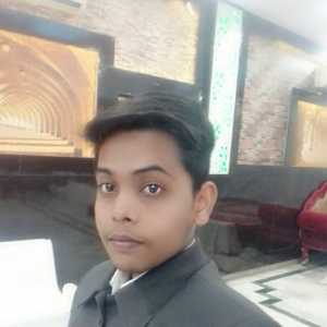 Aryan Sharma-Freelancer in Lucknow,India