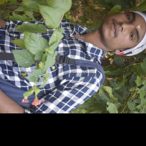 Avoy Kahar-Freelancer in ,India