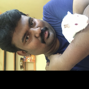 Rr Mahesh-Freelancer in Chennai,India