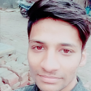 Muzahid Ansari-Freelancer in Ghaziabad,India