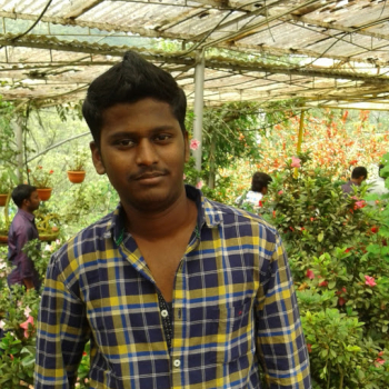 Krishna Kittu-Freelancer in chennai,India