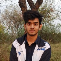 Mayank Majila-Freelancer in Ghaziabad,India