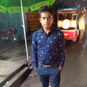 Pradip Kumar Hari-Freelancer in ,India