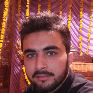 Qaisar Tauqeer Malik-Freelancer in Rawalpindi,Pakistan