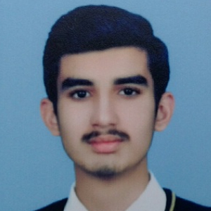 Muhammad Zainul Abidin-Freelancer in Lahore,Pakistan