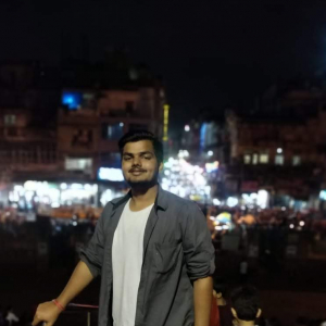 Ankur Kumar-Freelancer in ,India