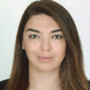 Nubar Veliyeva-Freelancer in Istanbul,Turkey