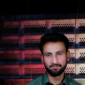 Zain Ali-Freelancer in Faisalabad,Pakistan