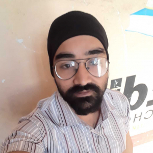 Harpreet Singh Nagi-Freelancer in ,India
