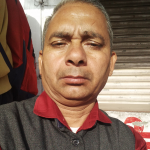 Ashok Kumar-Freelancer in Rohtak,India