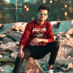 Priyanshu sharma-Freelancer in ,India