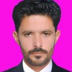 Muhammad Saleem-Freelancer in Bahawalpur,Pakistan