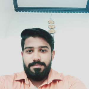 Ashiq Parathodi-Freelancer in Ponnani,India