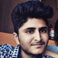shamli -Freelancer in jammu and kashmir,India
