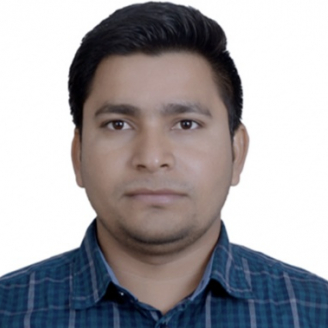 Amar Meena-Freelancer in ,India