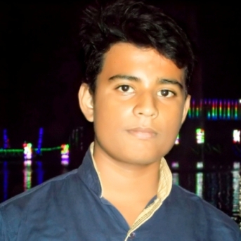 Koushik Sadhu-Freelancer in Bokaro,India